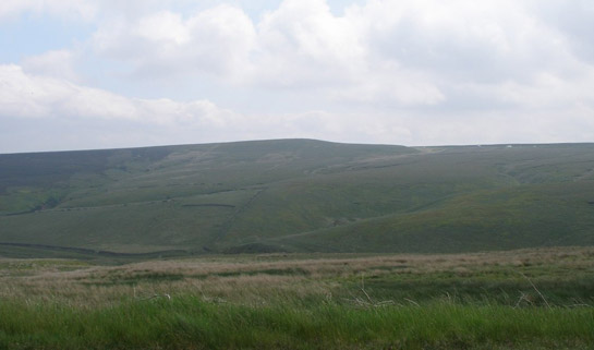 Figure 2: Drystone walls running across unimproved land on Thurlstone Moors