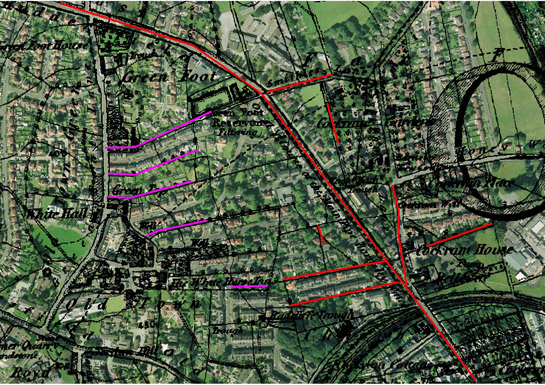 Figure 3: Well preserved field boundary patterns within the Churchfields villa suburb are shown in pink and red. Red lines represent areas of former surveyed enclosure and pink represents former strip enclosure boundaries