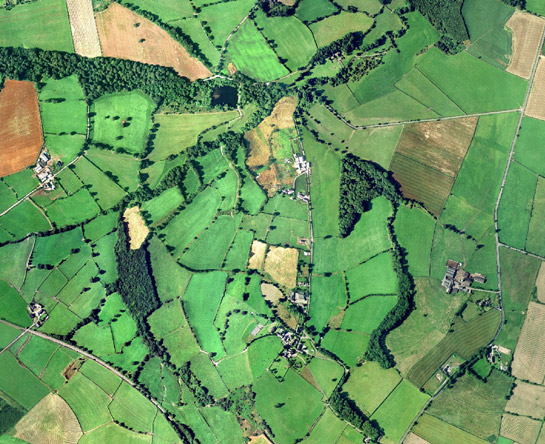 Shaws within the anciently enclosed fields north of Penistone.