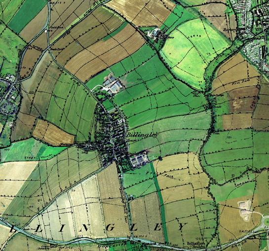 Figure 2:  Billingley village and surrounding strip enclosures