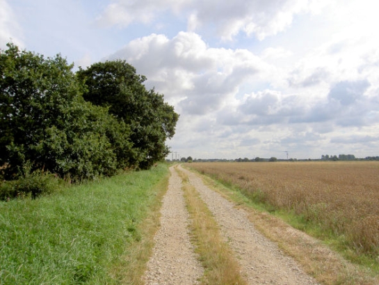 Figure 1: The landscapes of this zone are typified by straight boundaries and roads, drainage ditches, flat open arable fields and wide skies