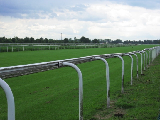 Figure 1: Doncaster Racecourse 