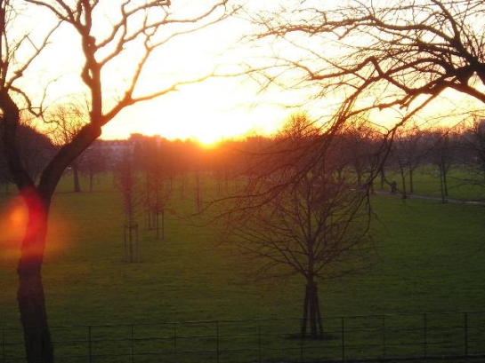 Figure 3: Town Field, Doncaster 