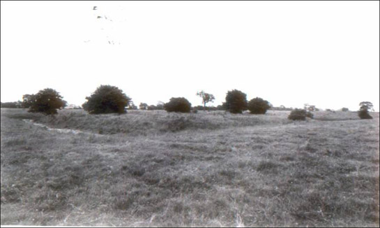   Figure 3: Woodhouse Field Moat from the North West, July 1980. By P.F.Ryder © SYAS  