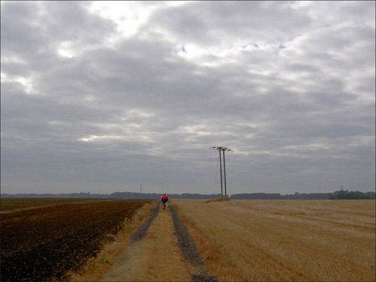 Figure 1: This zone is typified by enormous arable fields with few boundaries.