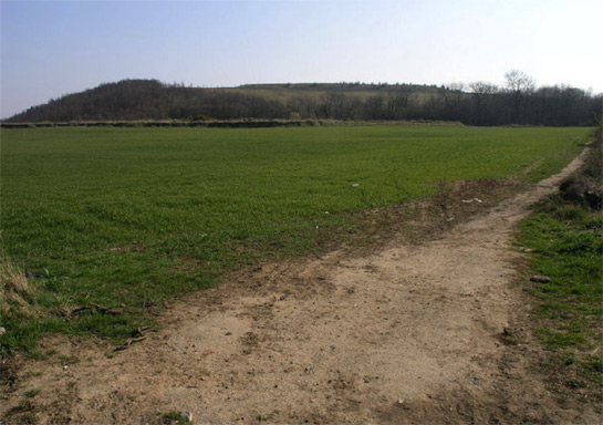 Figure 1: Spoil heaps at Maltby Main Colliery.