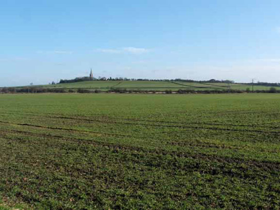 Figure 1: Looking towards the village of Laughton en le Morthen across land enclosed from Laughton Common by Parliamentary Award in 1771